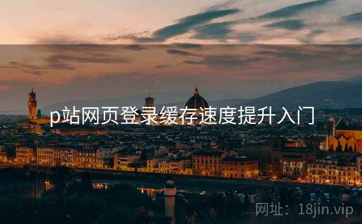 p站网页登录缓存速度提升入门