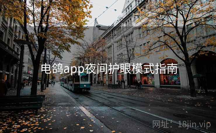电鸽app夜间护眼模式指南