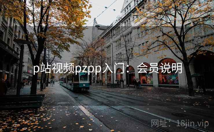 p站视频pzpp入门:会员说明 p站视频pzpp入门:会员说明